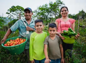 Agricultural Packs